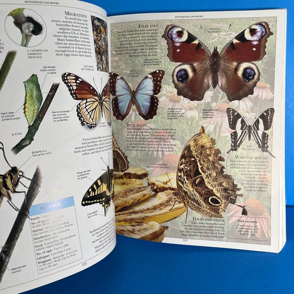 DK Encyclopedia of Animals (2006, Softcover) Stunning Photos, Facts, Reference - Picture 7 of 8